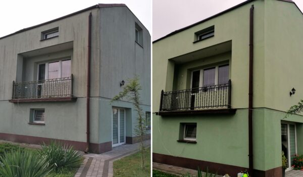 Usuwanie glonów z elewacji