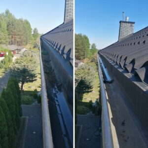 mech i zabrudzenia na dachówce