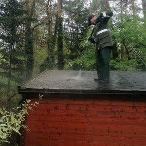 mycie dachówki z nalotów biologicznych