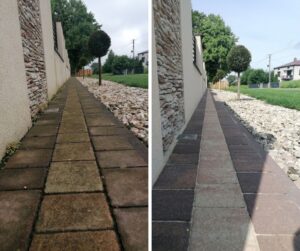 usuwanie mchu z kostki